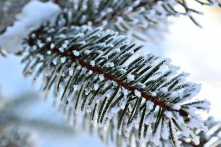 Айрықша жағдайлар министрлиги декабрьдиң басында ҳаўа райының қандай болыўы ҳаққында мағлыўмат берди