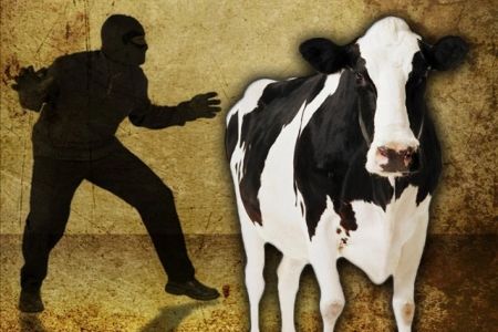 Тахтакөпирде пуқараның 2 қарамалын урлаған ким еди?