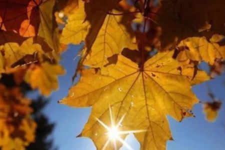 13-октябрь күни Қарақалпақстанда ҳаўа райы қандай болады?