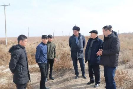 «Мамый» АПЖ турғынларының машқалалары үйренилди: Жумыссыз жасларға бир гектардан егислик жер берилди