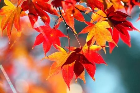 23-октябрь күни Қарақалпақстанда ҳаўа райы қандай болады?