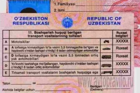 Гөне үлгидеги транспорт басқарыў гүўалығы қашанға шекем әмел етеди?