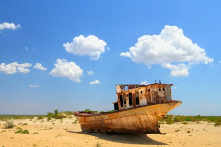 Арал теңизиниң қурыған 700 мың гектарлық ултанында жумыс ислеў ушын қанша жумысшы тартылады?