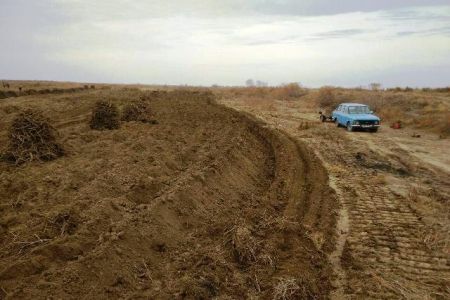 Боян тамырын қопарыўшылар бир ярым айда 41 миллион сумлық зыян келтирген