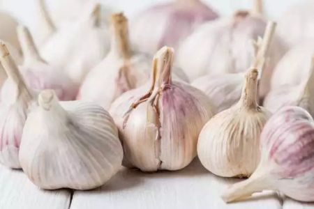 Министр орынбасары чеснок ҳаққында не деди?