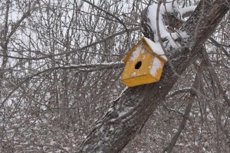 «Өзгидромет» хабарландырыў жәриялады