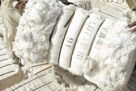 Өзбекстан пахта талшығын экспорт етиўден ўаз кешеди. Мүддет анық