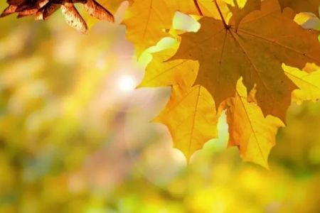 10-октябрь күнги ҳаўа райы мағлыўматлары