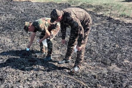 Мойнақтағы көлде жүз берген өрт ақыбетинде ярым гектар жердеги қамыслықлар жанып кеткен – Экокомитет