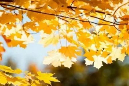 30-октябрь күни Қарақалпақстанда айырым орынларда жаўын жаўыўы мүмкин