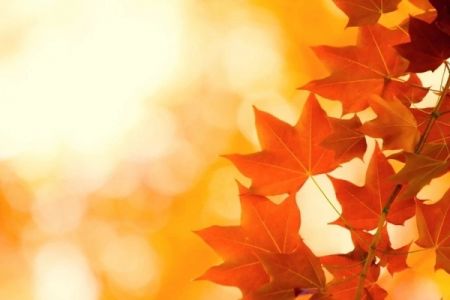 25-октябрь күни Қарақалпақстанда ҳаўа райы қандай болады?