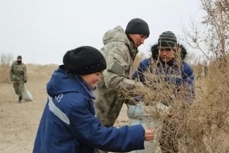 Жаслар басламасы: Мойнақта жаслар сексеўил туқымын жыйнаў ушын бирлести