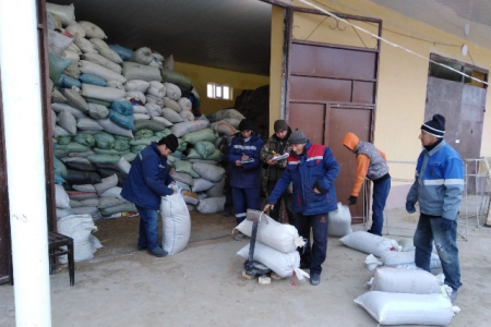 Мойнақта халық тәрепинен күнине 20 тоннаға шамалас сексеўил туқымлары тапсырылмақта