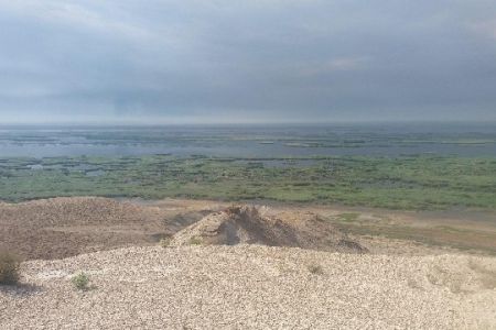 Судочьедеги өрт ҳайўанат ҳәм қуслар дүньясына зыян келтирди ме? (рәсмий мағлыўмат)