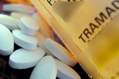 Төрткүлде 25 дана «Трамадол» сақлаған Молдова пуқарасы усланды