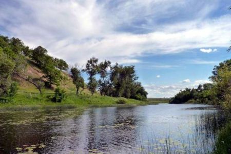 Шоманай ҳәм Қанлыкөл районларында жаңадан тоғай хожалықлары шөлкемлестириледи