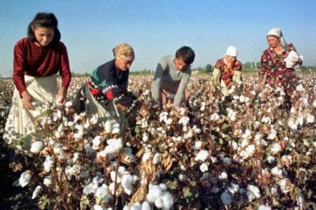 Пахтакешлер – Ассалаўма әлейкум!