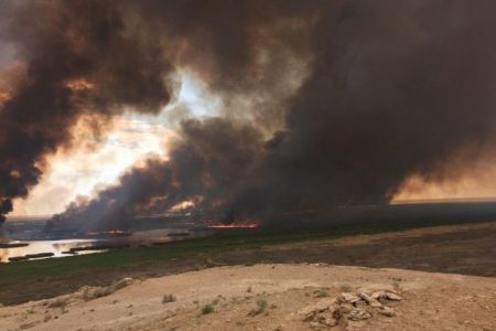 Судочье көлинде өрт келип шығыўына не себеп болғаны мәлим болды