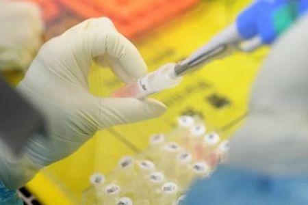 Коронавирус жасалма түрде жаратылғаны рас па?