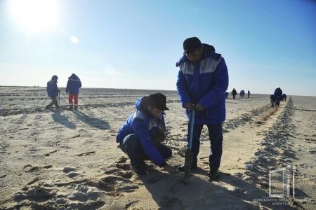 Аралдың қурыған ултанындағы 100 мың гектардан аслам жерге шөлге шыдамлы туқымлар егилди