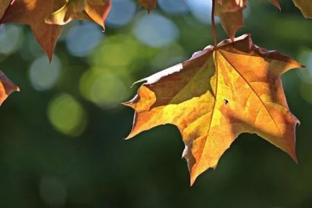 Қыстың биринши күнинде Қарақалпақстанда қандай ҳаўа райы күтиледи?