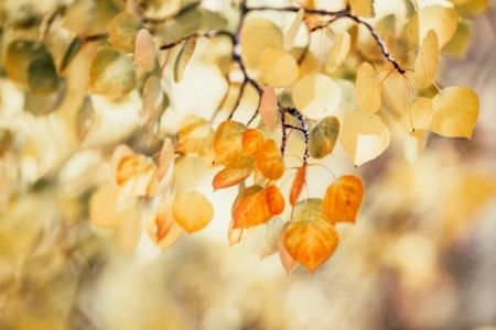 7-октябрь күни күтилетуғын ҳаўа райы мағлыўматы