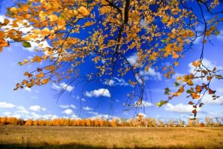 29-октябрь күнги ҳаўа райы мағлыўматы