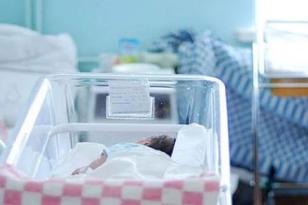 Өзбекстанда жеке туўыў комплекслерин шөлкемлестириў усыныс етилди